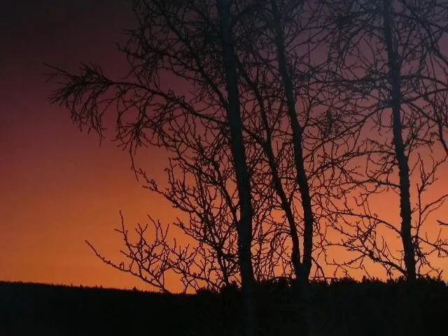 Lappi - Lappland Ruijantie 1935 In Enontekioe Appartement